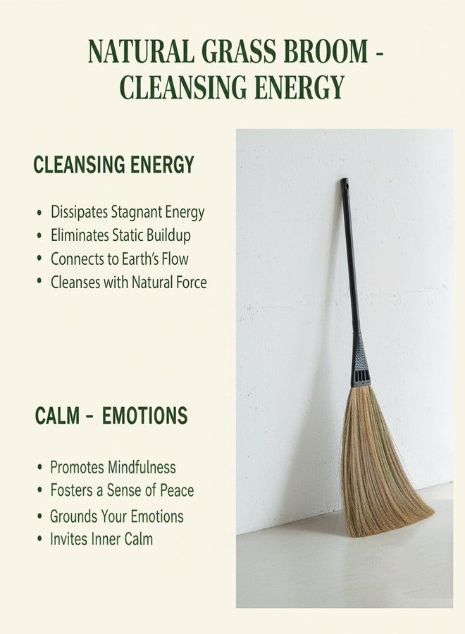 UMD dust Free Natural Grass Broom jaadu, Long Handle, Multi-Use Floor Cleaning for Home, Office, dusting, Sweeping Pack of 1 - Image 5